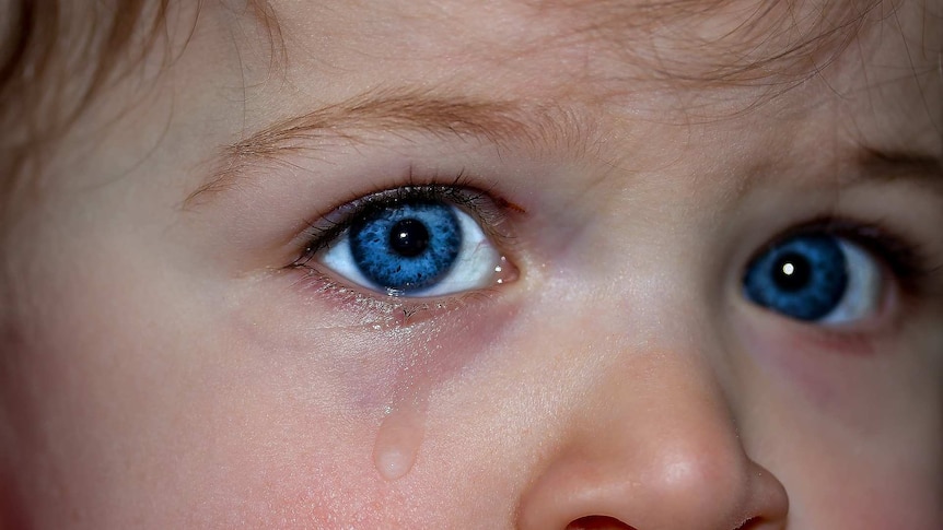 Readers reply: why do humans cry when they are sad?, Biology