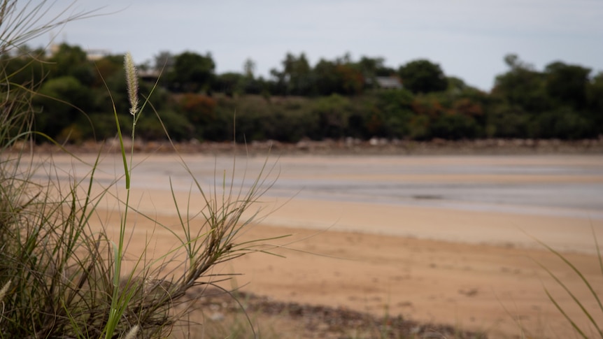 A photo of Mindil Beach during the daytime.