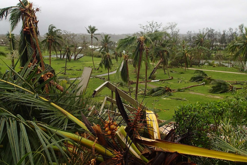 Dozens of palms lay flattened