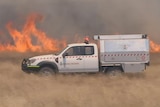 An RFS vehicle travels along the fire front.