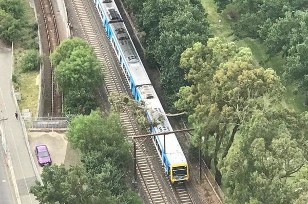 A tree falls on the roof of a train near Jolimont station during strong winds.