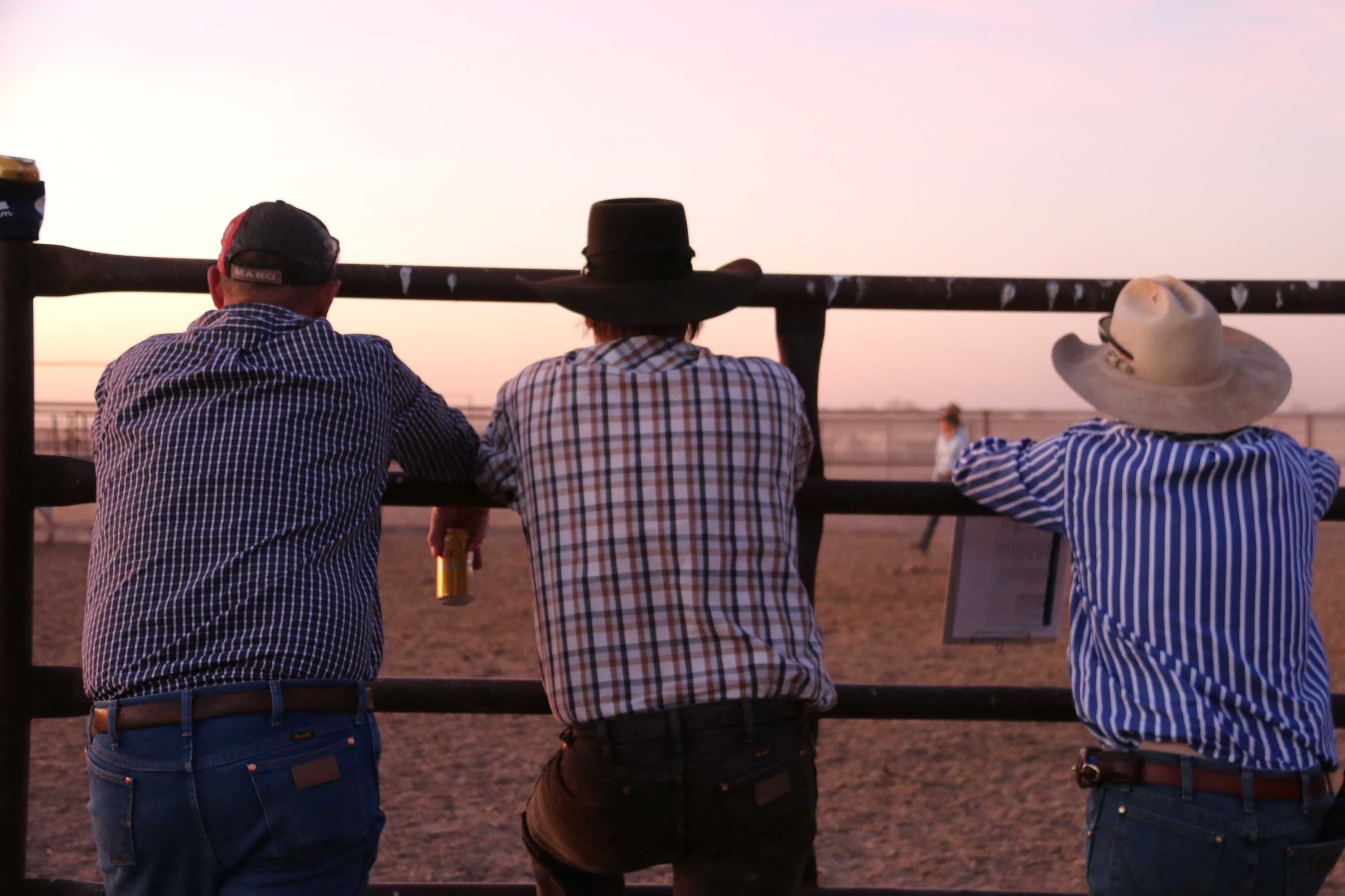 to Spell Bore — the search for the north's top stock camp ABC