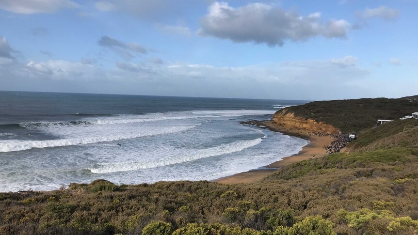 Strong waves surge across Bells Beach, viewed from a cliff above the beach.
