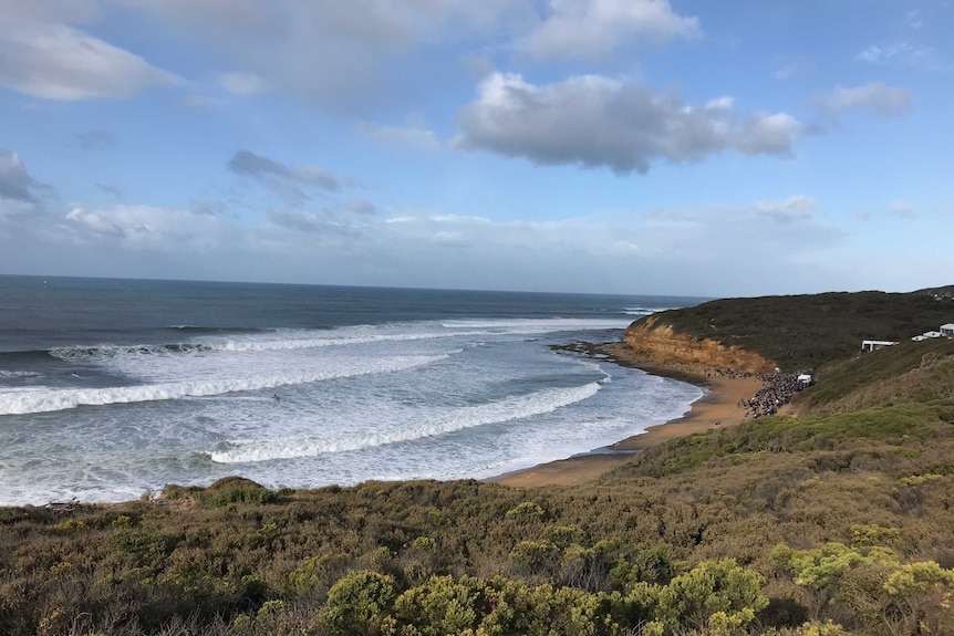 Strong waves surge across Bells Beach, viewed from a cliff above the beach.