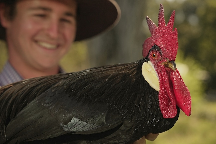 A man holds a chicken.