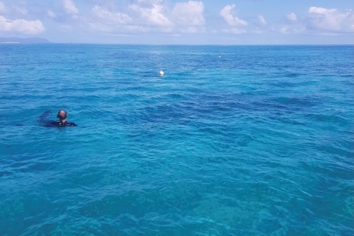 A police diver in the water on a reef.