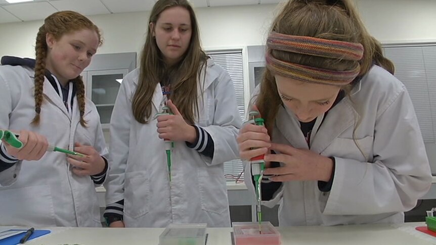 Educators hope the program will encourage students to take up science at university.