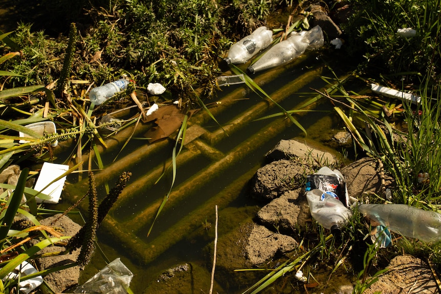 A metal grate in the wetland sits under dirty water surruonded by plastic rubbish. 