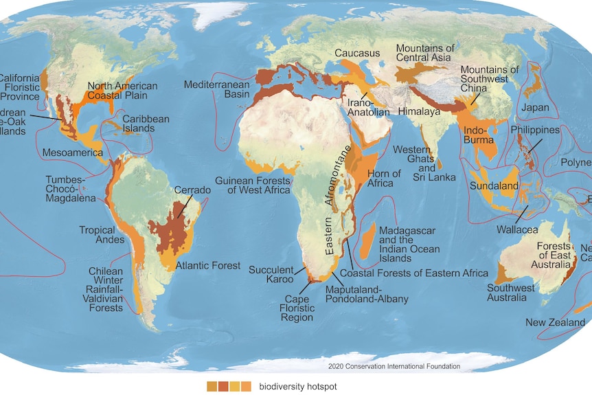 A map shows the world's biodiversity Hotspots.