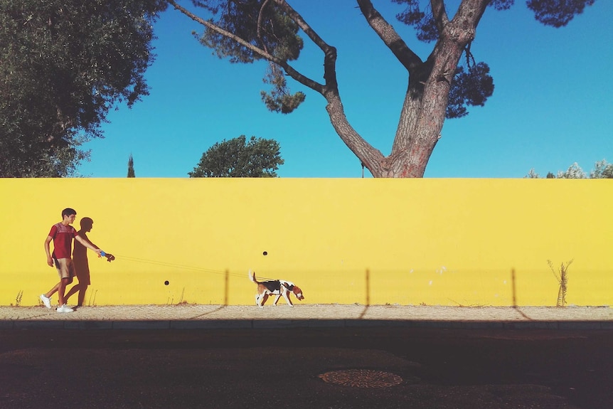 Man walking a dog on a leash against a bright yellow wall.