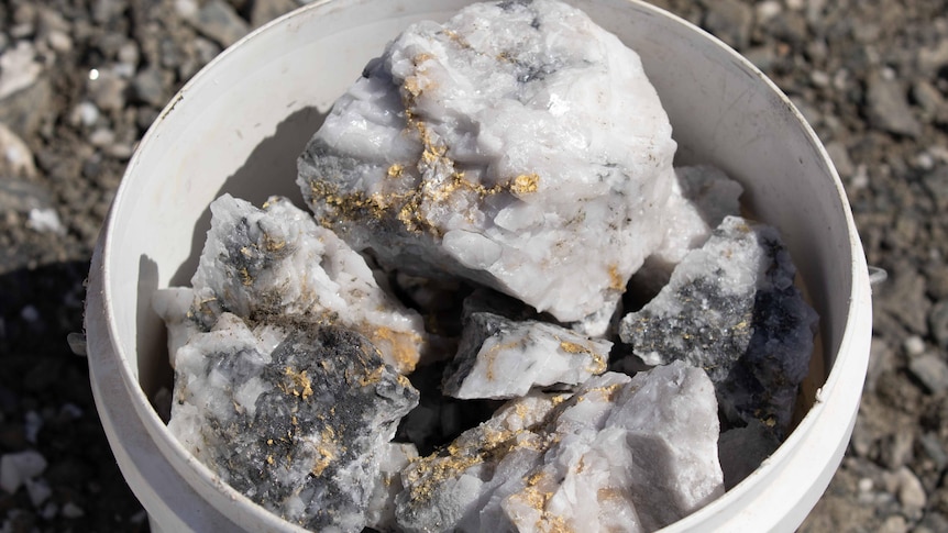 A plastic bucket full of gold-covered rocks.  