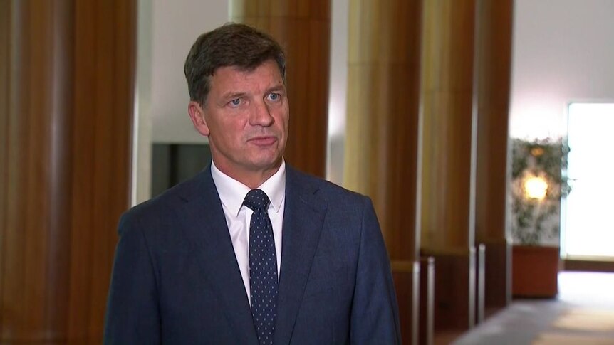'Test for Labor': Angus Taylor calls for clear and comprehensive budget plan