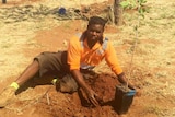 Planting gubinge trees