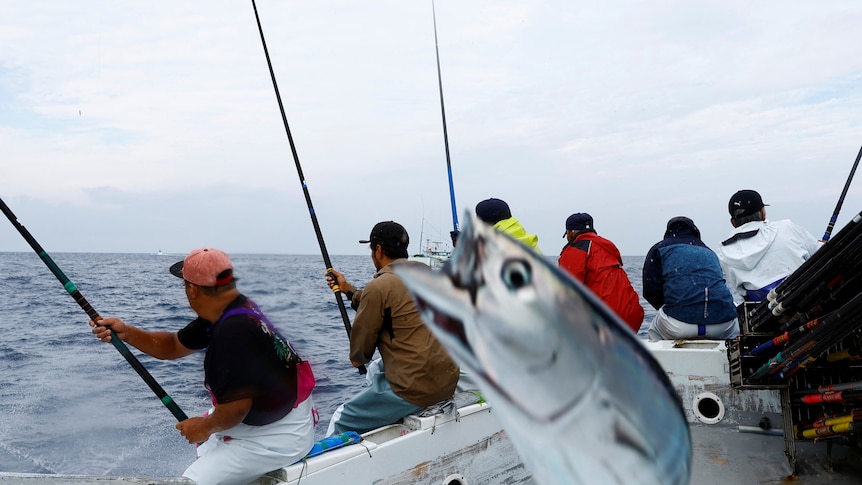 A katsuo fish can be seen in the foregound with men on a fishing boat with fishing rods at sea in the background.