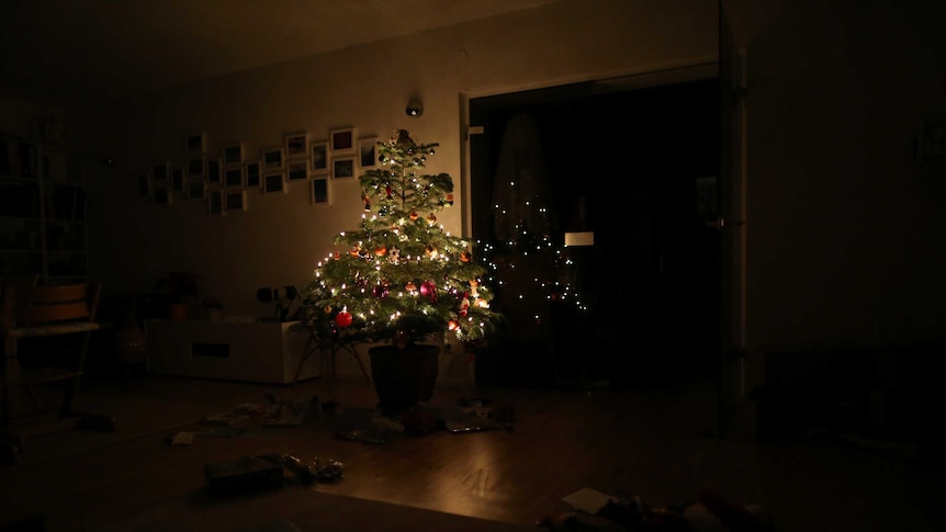 A Christmas tree at home, with darkness around it