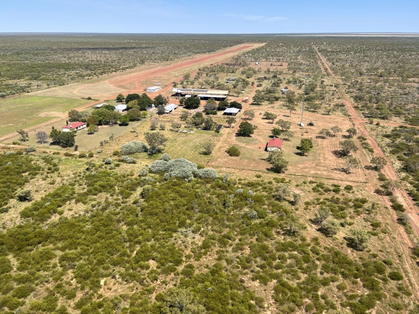 NT cattle station sells for $26m after carbon plan crashes