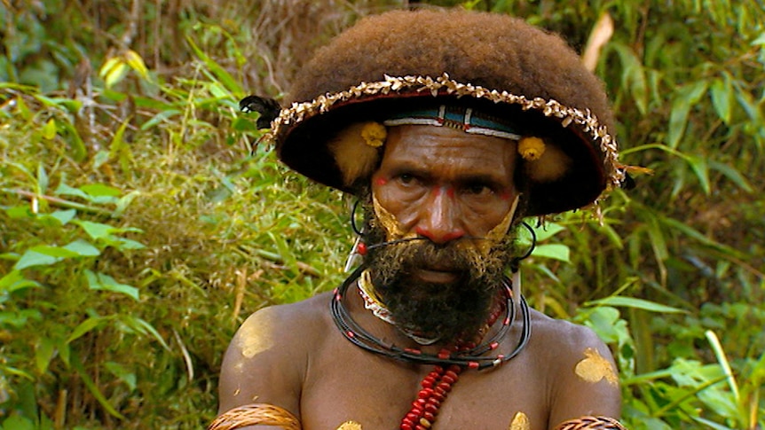 A man stands in jungle surrounds wearing traditional Huli warrior outfit.