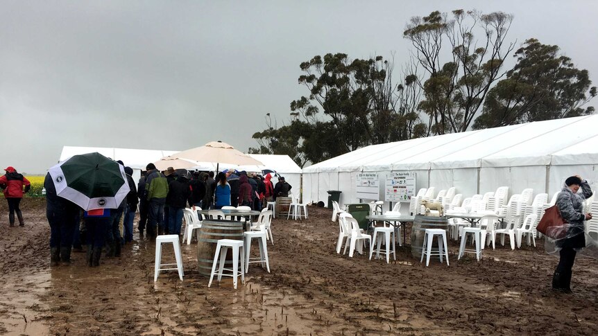 Queues in the mud.