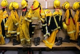 Horsham bushfire class action gets underway