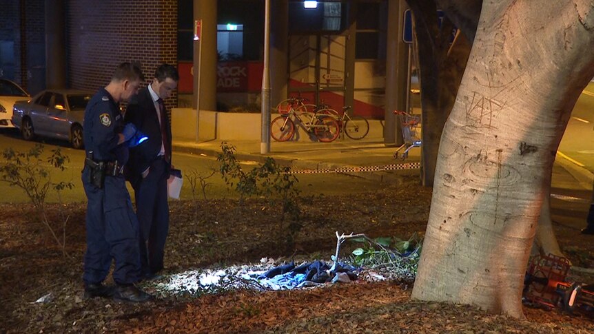 Police inspect clothing near a tree on a street at night