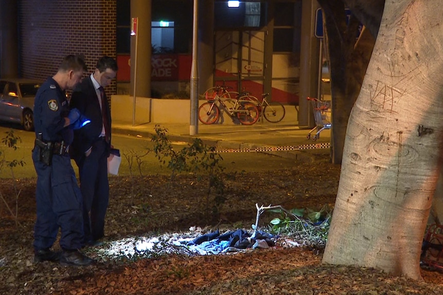 Police inspect clothing near a tree on a street at night