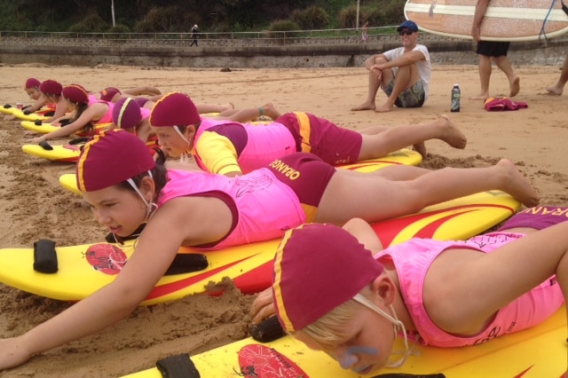 Nippers on boards at the beach