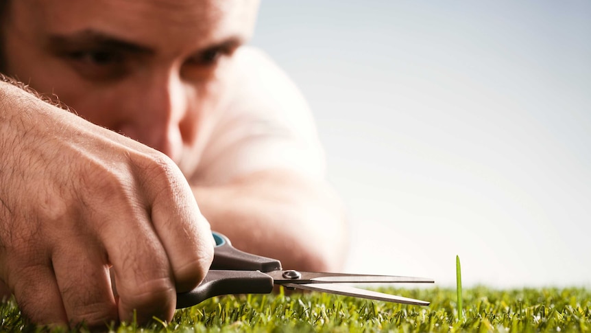 Close up of man cutting lawn with scissors