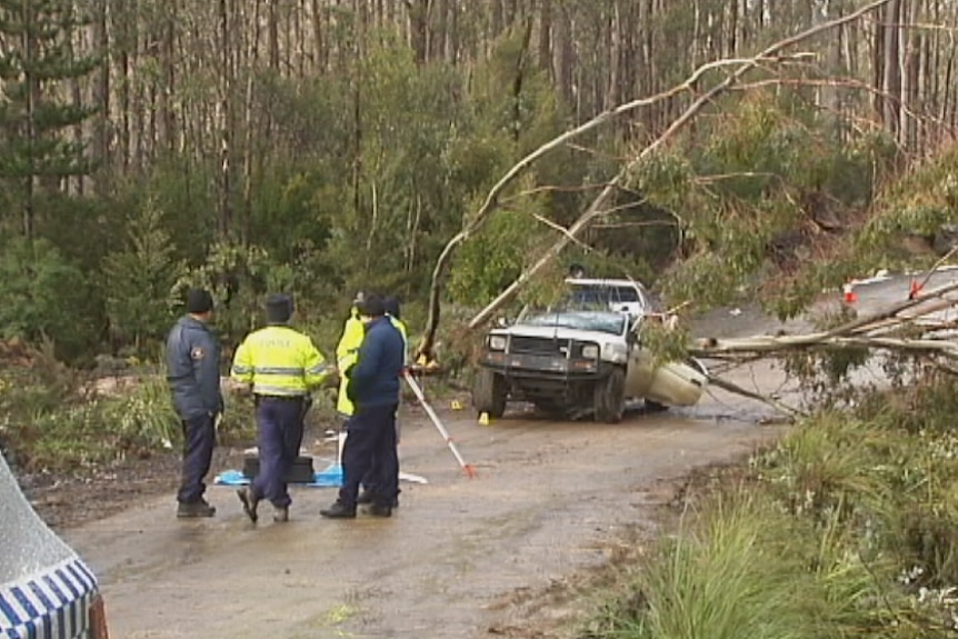Tasmania Police at the scene of a boy killed after a tree fell on a car at Mt Lloyd, 2015
