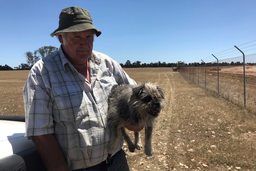 A farmer in his paddock with his scruffy dog