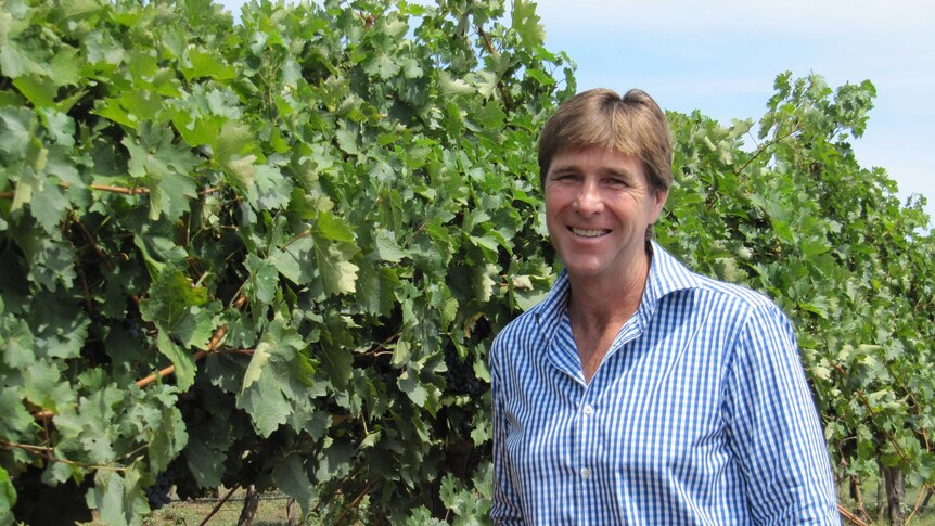 Tim McMullen from Borambola Wines in a blue pin-stripe shirt standing in front of green grapvines