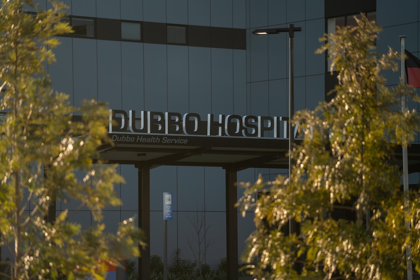 A sign reading 'Dubbo Hospital' seen in between the branches of two trees