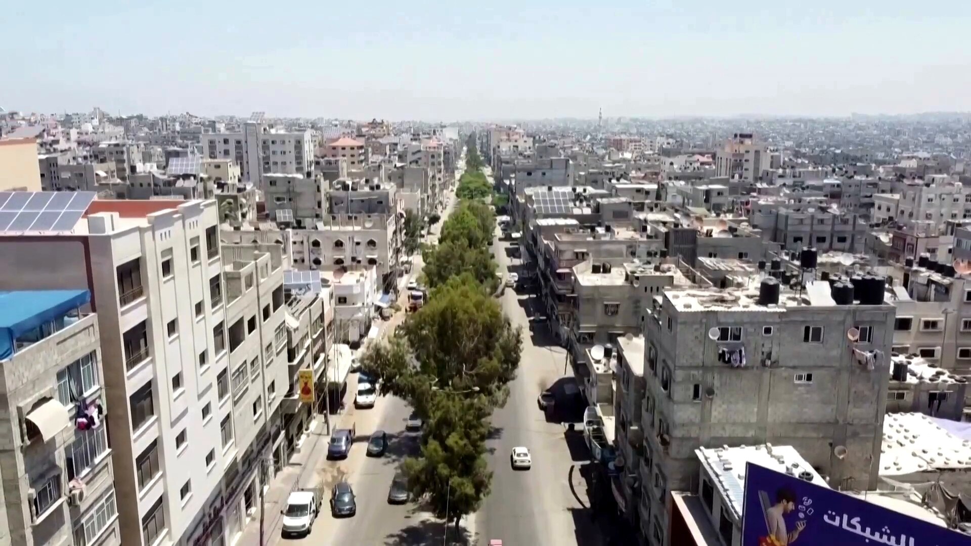 Trees line the middle of a street crowded with apartment buildings 