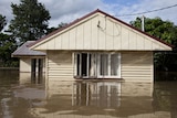 Floodwaters creep up a Brisbane home