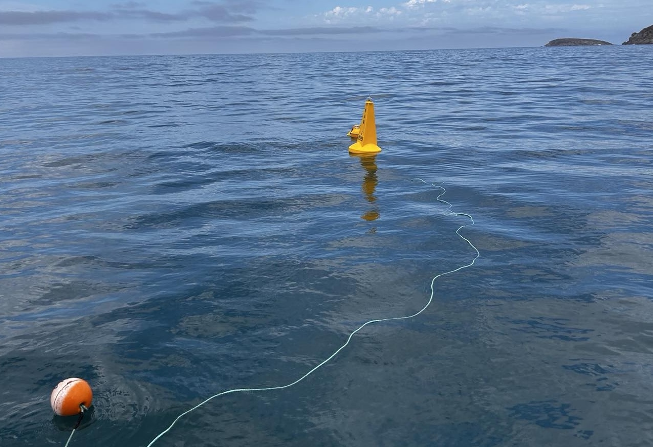 buoy and marker floating in ocean