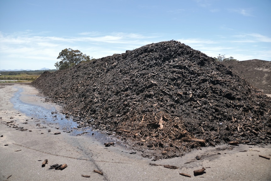 a pile of compost