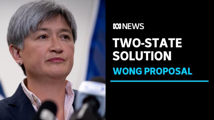 Two-State Solution, Wong Proposal: Foreign Minister Penny Wong stands in front of microphones.