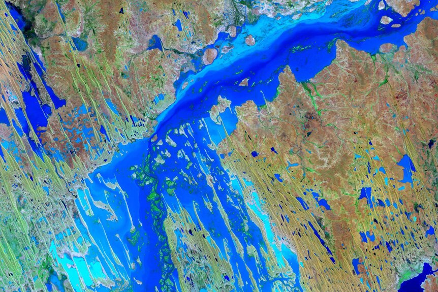 A satellite image of flooding in the Channel Country.