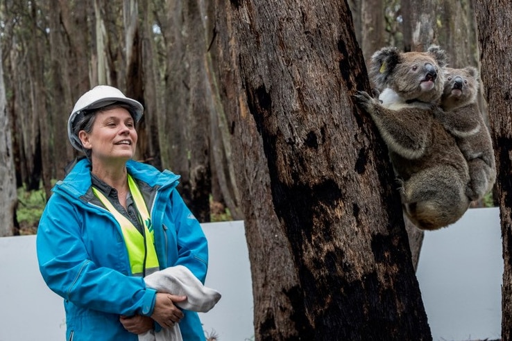 Woman standing in front of a tree with a koala