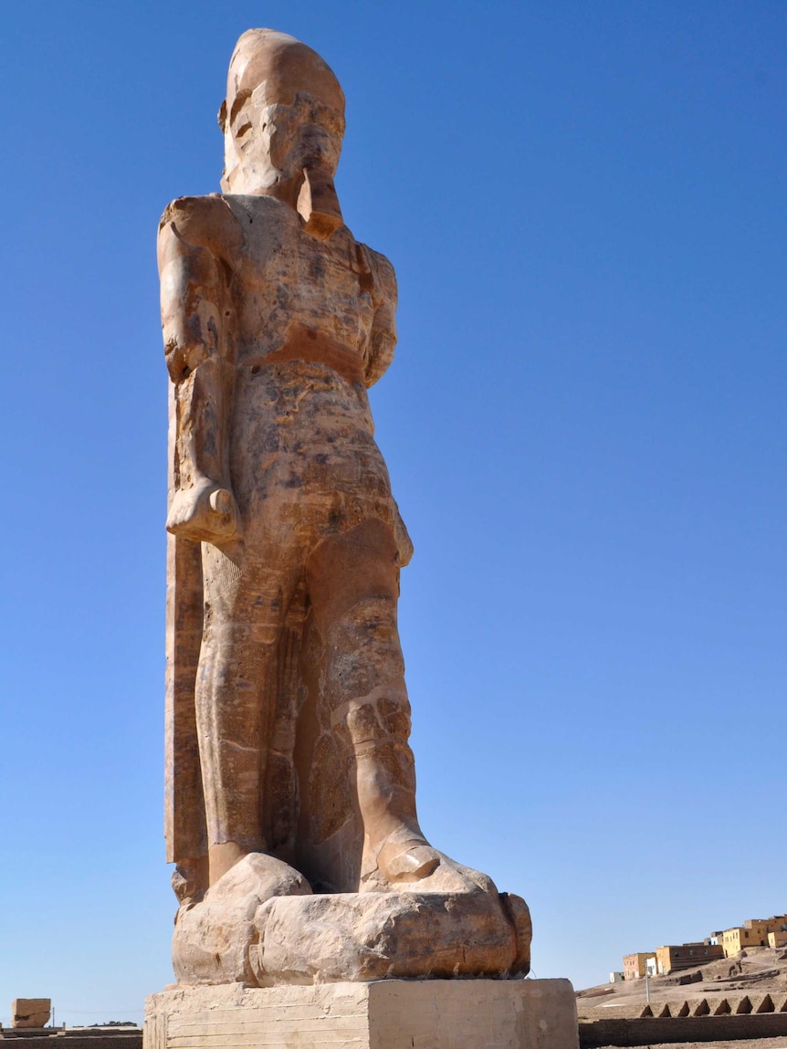A colossal statue of Pharaoh Amenhotep III in Egypt's famed temple city of Luxor on December 14, 2014