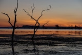 Argyle sunset
