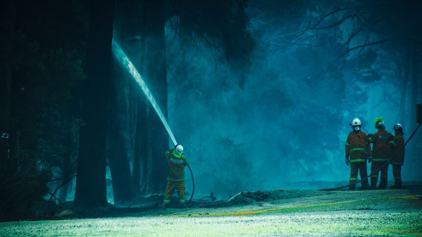 A firefighter sprays water into a tree amid a smoke haze at Calder NW Tasmania