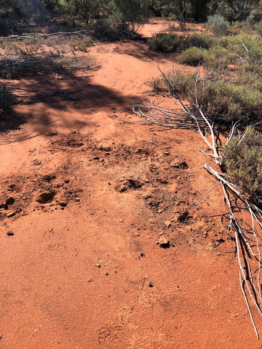 Red earth with holes dug out of it.