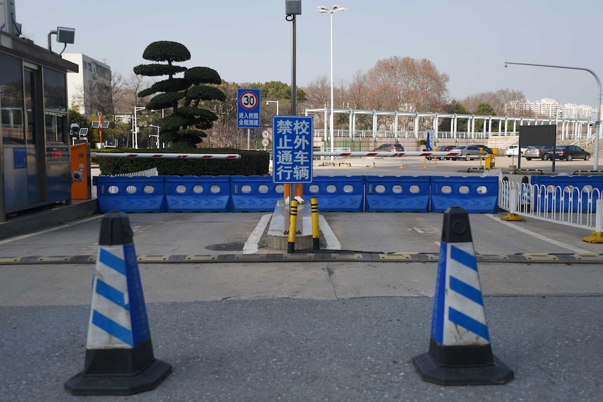 You view a road gate barricaded with bright blue traffic plastic fencing and blue and white-striped cones.