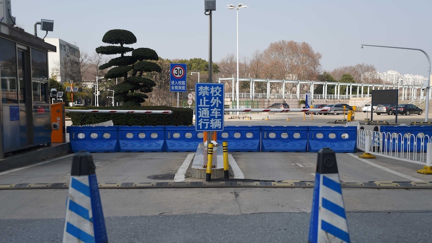 You view a road gate barricaded with bright blue traffic plastic fencing and blue and white-striped cones.