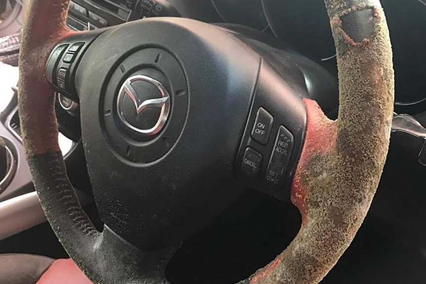 A photo of a mouldy steering wheel.