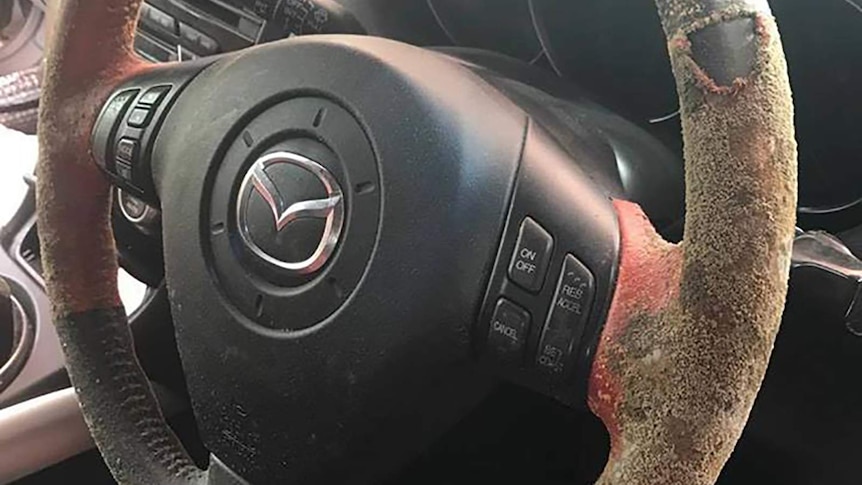 A photo of a mouldy steering wheel.