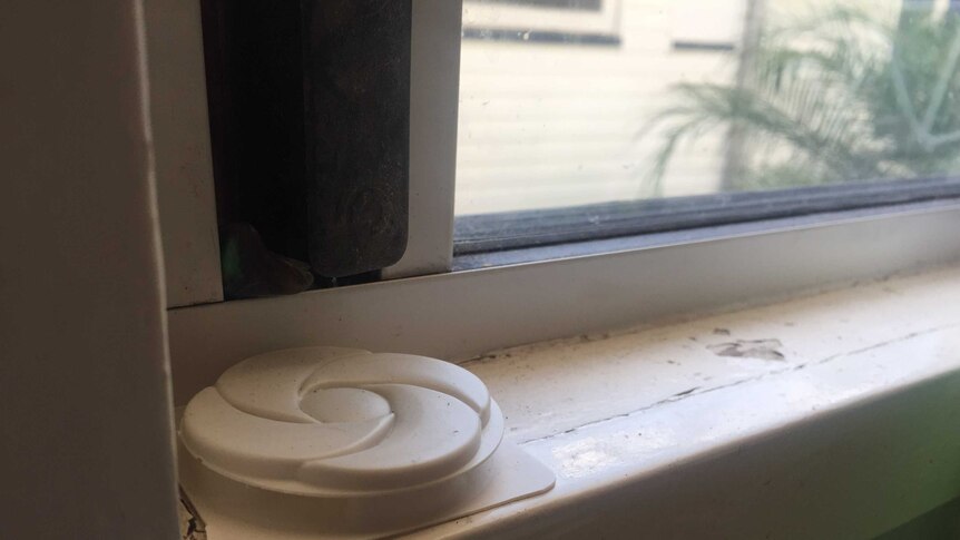 A plastic ant bait on a windowsill