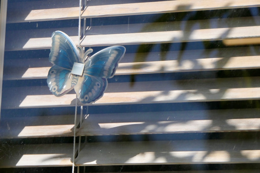 A butterfly charm in a window in front of some blinds, viewed from the exterior of the building