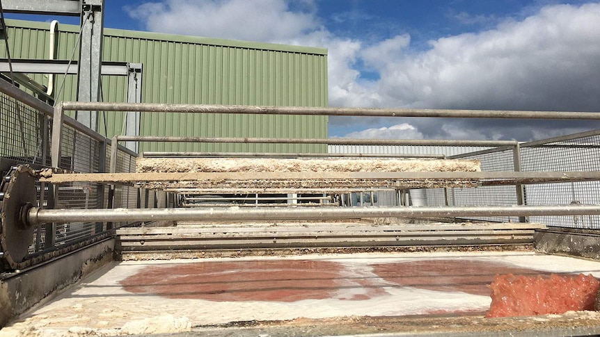 Waste water from the processing floor of the Oakey Meatworks funnelled into vats where the fat from cattle is scraped off