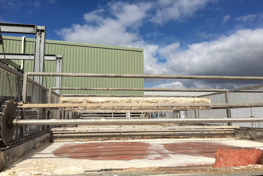 Waste water from the processing floor of the Oakey Meatworks funnelled into vats where the fat from cattle is scraped off